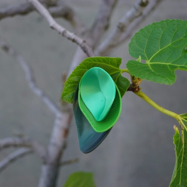 Pendientes Acetabularia de Rebs Design Lab inspirados en formas marinas.